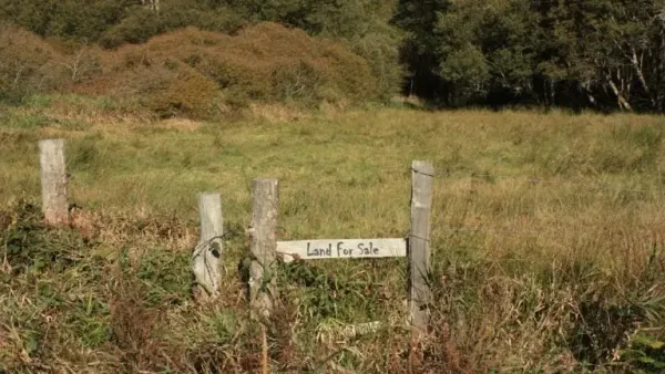 Vacant undeveloped land