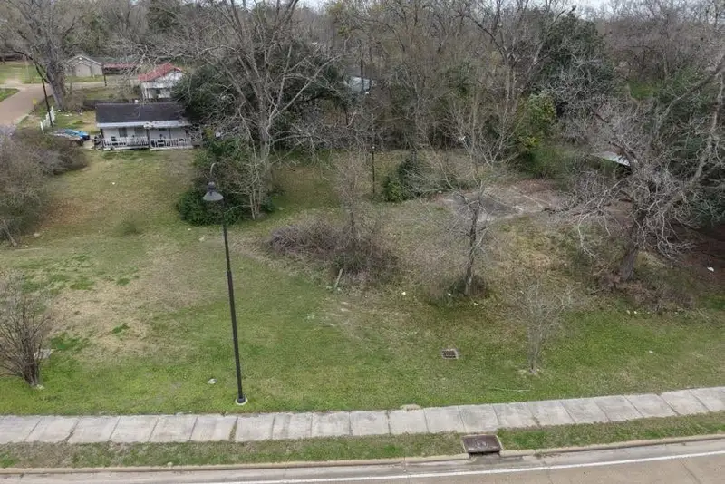An overgrown lot with bare trees — the kind of land we buy