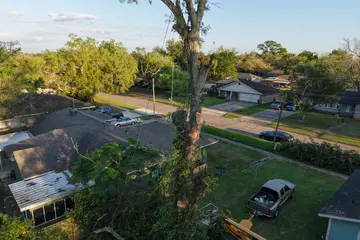 Overgrown residential lot with brush and a downed tree